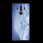 Coque  Huawei MATE 10 PRO PREMIUM hiver 4