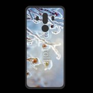 Coque  Huawei MATE 10 PRO PREMIUM Nature enneigée