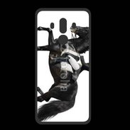 Coque  Huawei MATE 10 PRO PREMIUM Dressage Equitation 2