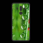 Coque  Huawei MATE 10 PRO PREMIUM Coccinelle