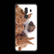 Coque  Huawei MATE 10 PRO PREMIUM Gardien de lapins