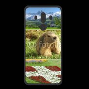 Coque  Huawei MATE 10 PRO PREMIUM Savoie 1