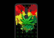 Coque  Huawei MATE 10 PRO PREMIUM Feuille de cannabis et cœur Rasta