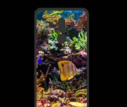 Coque  Huawei MATE 10 PRO PREMIUM Poisson Tropical