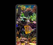 Coque  Huawei P20 Lite PREMIUM Poisson Tropical