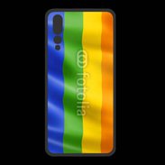 Coque  Huawei P20 Pro PREMIUM Drapeau gay