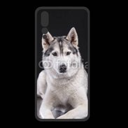Coque  Huawei P20 Pro PREMIUM Chien Husky de Sibérie