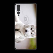 Coque  Huawei P20 Pro PREMIUM Chien Husky de Sibérie 2