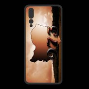 Coque  Huawei P20 Pro PREMIUM Guyane 973