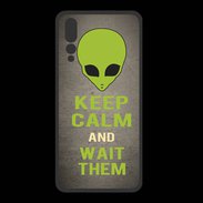Coque  Huawei P20 Pro PREMIUM Keep Calm and Wait Alien Gris