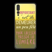 Coque  Huawei P20 Pro PREMIUM Un peu félé ZG
