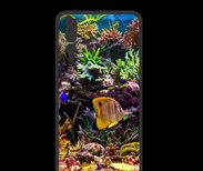 Coque  Huawei P20 Pro PREMIUM Poisson Tropical