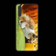 Coque  Huawei P20 PREMIUM Agility Colley