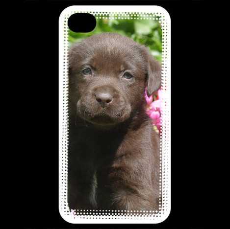 coque de iphone 4 labrador coque de iphone 4 labrador
