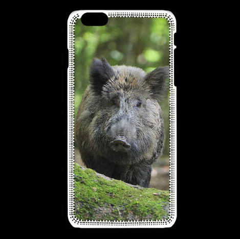 coque iphone 6 sanglier coque iphone 6 sanglier