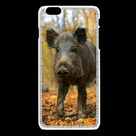coque iphone 7 sanglier coque iphone 7 sanglier